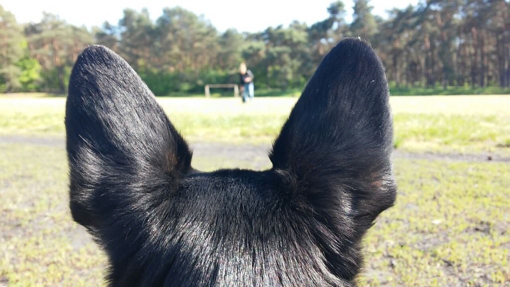 81f4bf12b67b4db77c7983bf52052f40825e3f75