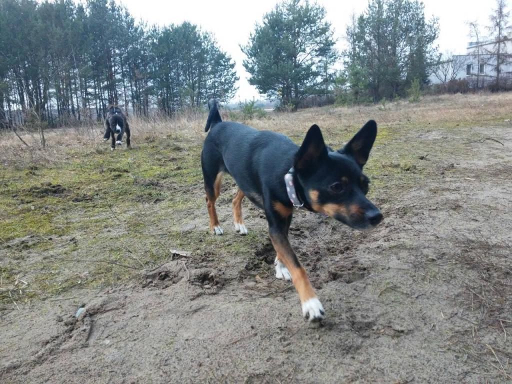 83637e11bc430af3ae4e26575502fc74e47990aa