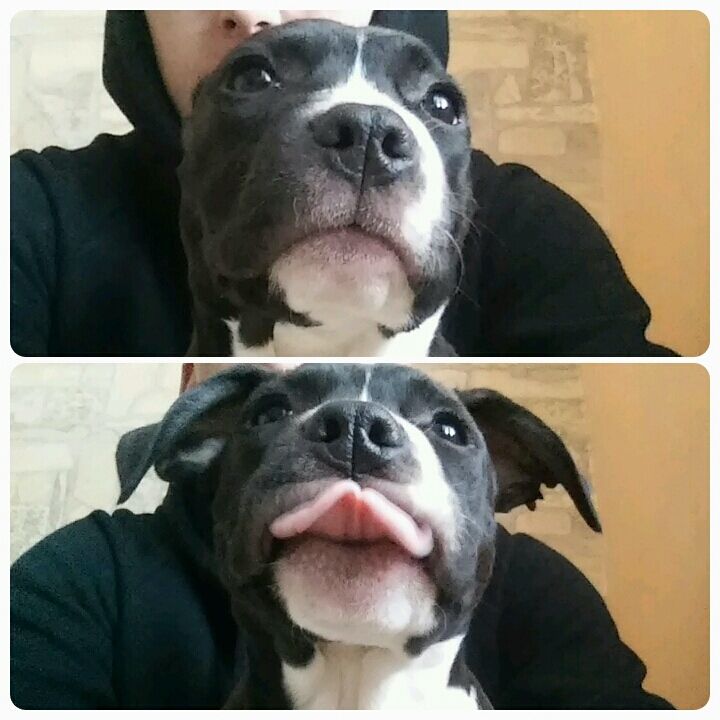 839466d90f5576a6ff05b1810232165a6c4dec2a