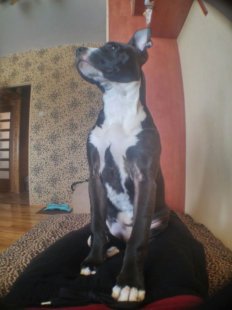 8538289cdc0059e0417ea193109af7ccce98a05d