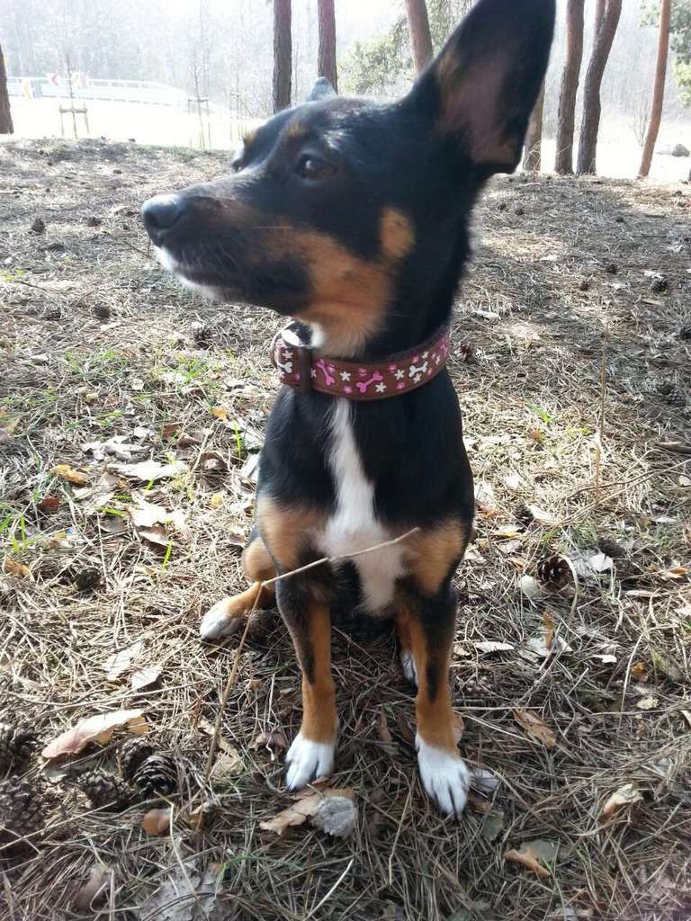 9579e399081b11925af6009d7b5153c66d036f19