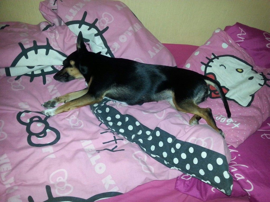 95bd0e78e687c9121b2474df1b59686f247667d5