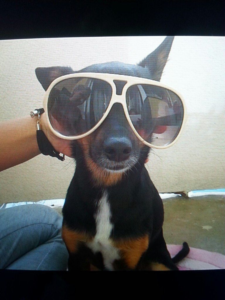 967f8681d813335ef43390504d7b5e9b781fe366