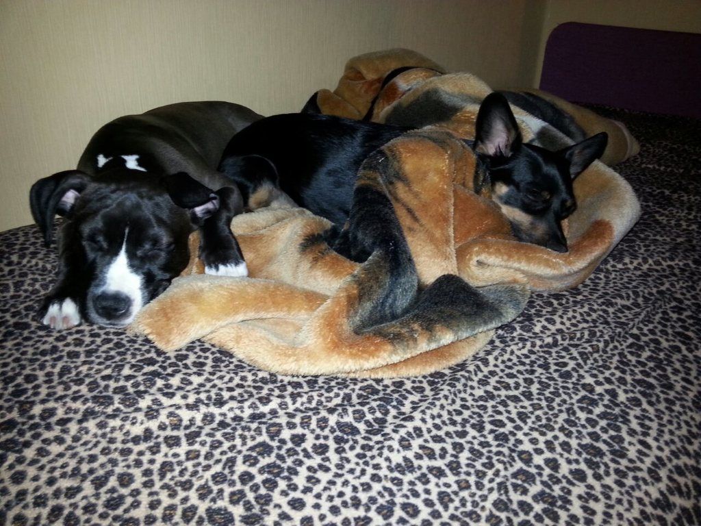 98a6df87a435846998949e68c8a8496fe6ed9c53