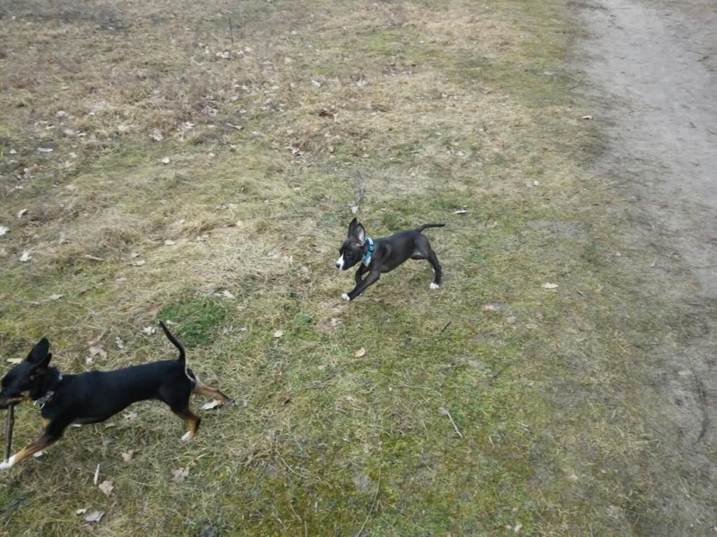 9e0b3e097bbafc270897e25826d3a5595f9ef4fb