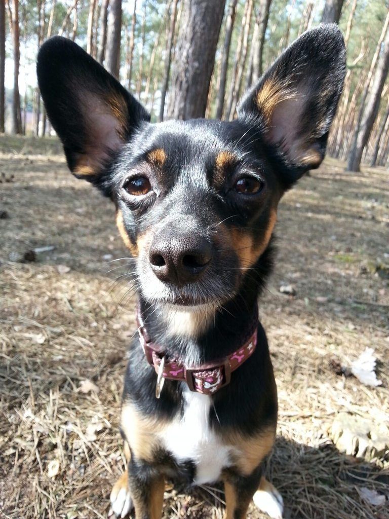 9f90aac74d8962f3e1bb2d9bc1520f3d28b59ddb