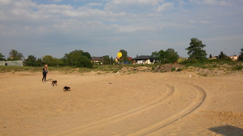 a61ae8cf478af81c5ed4c730112754e072aacda5