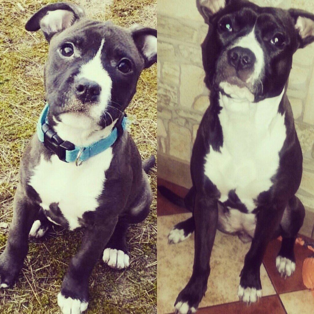 b19e58394b291c9e9d2f7811aef7da5633f6dfda