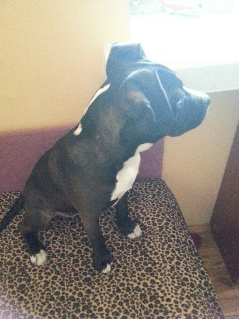 b24275eff51172256ede7b380e525f2ad8782f3a