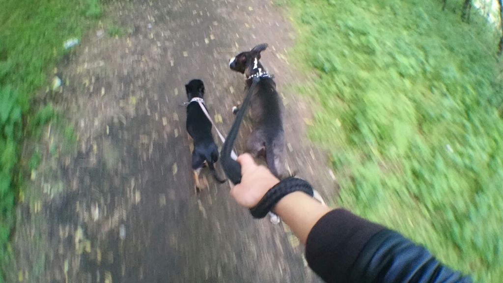 b3bce7691ed519664afcb3cd50a21e52fda89fc2