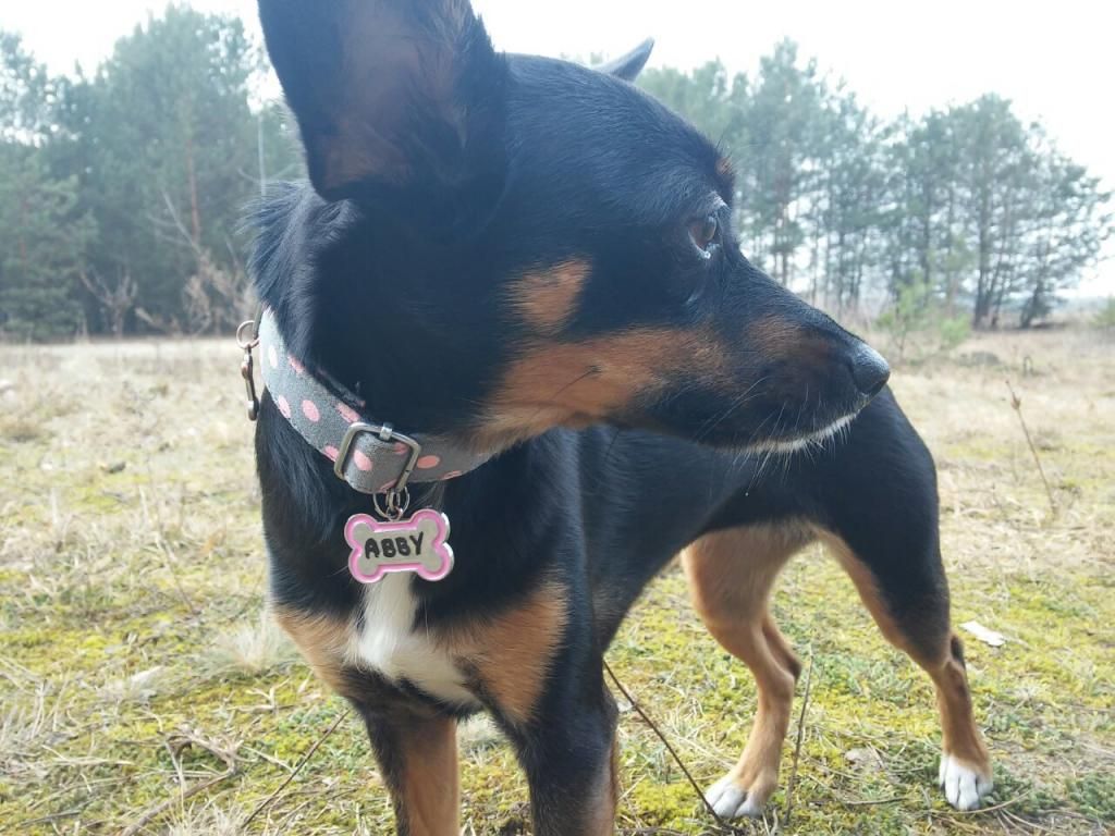 b4ab25b2863856128f70feaa98f26023fa0e1409