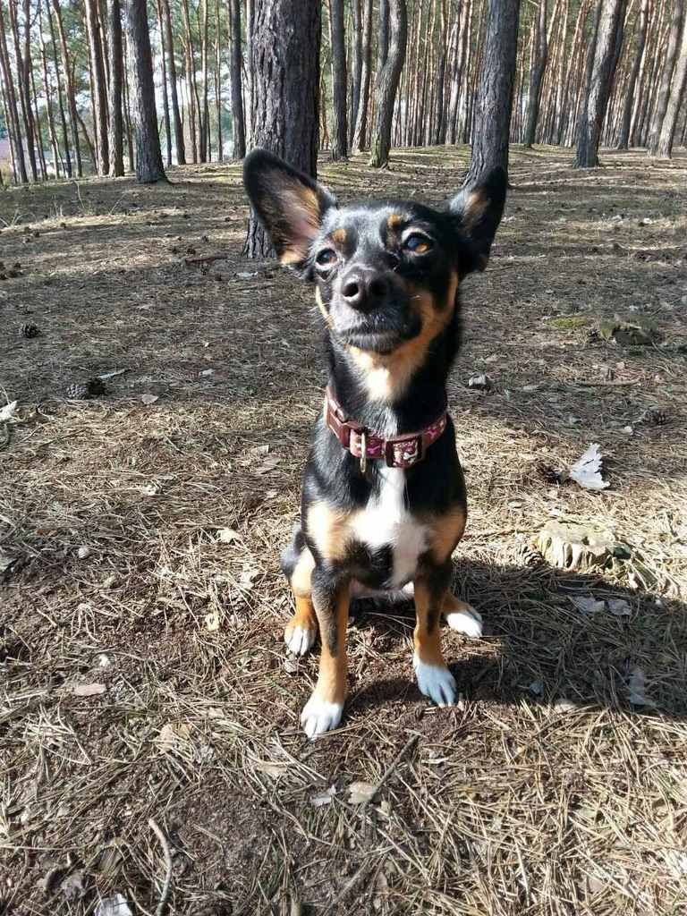 b6160633a4104a220a5916c8cfcc909c566b2baa