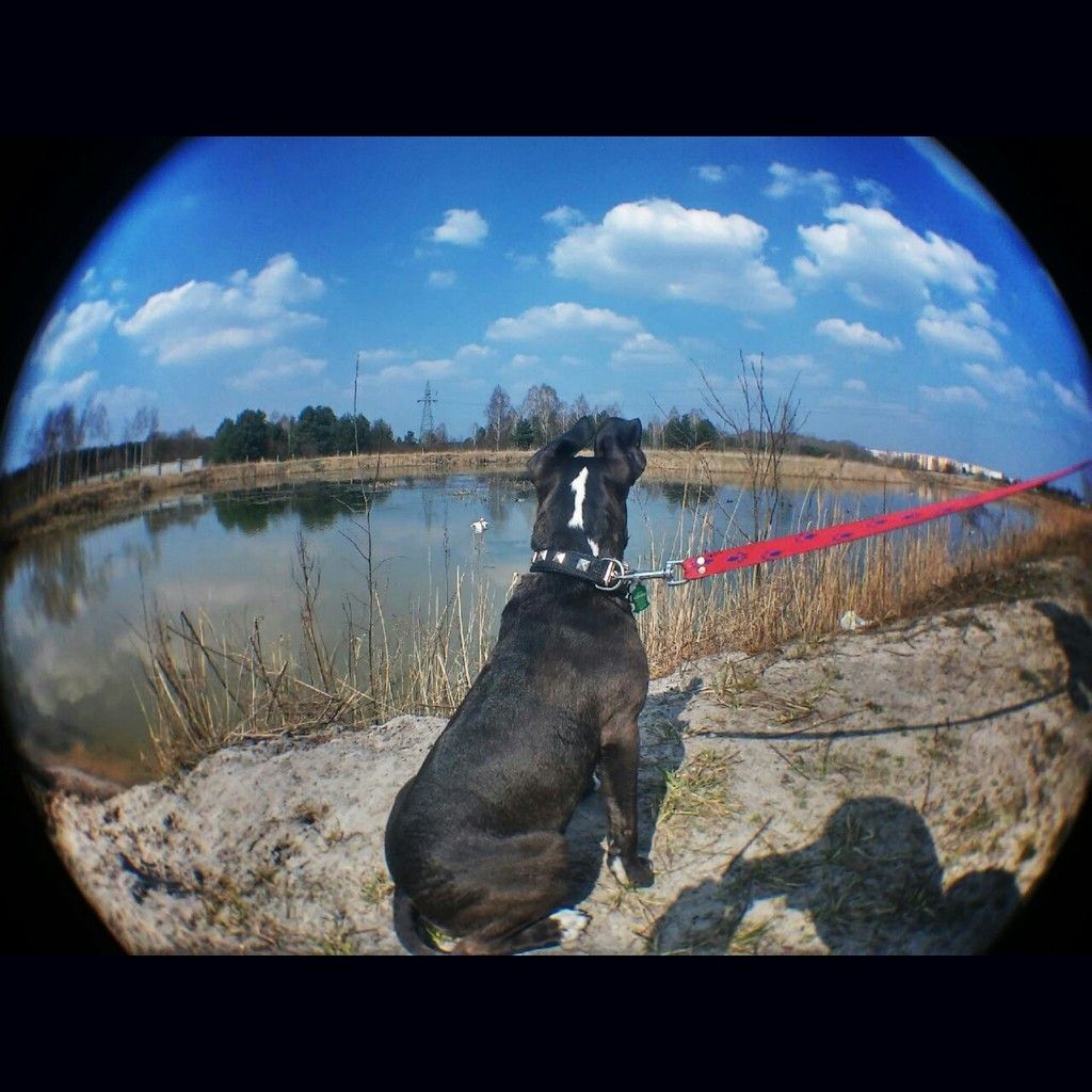 b9748dc7dd0aadf58de449a886a55f58a167f84f