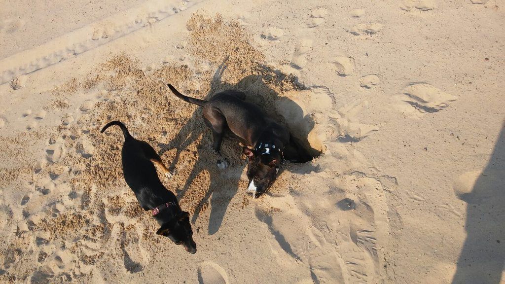 bcb72800d73d02d45111030d865c1d0695a2d46f