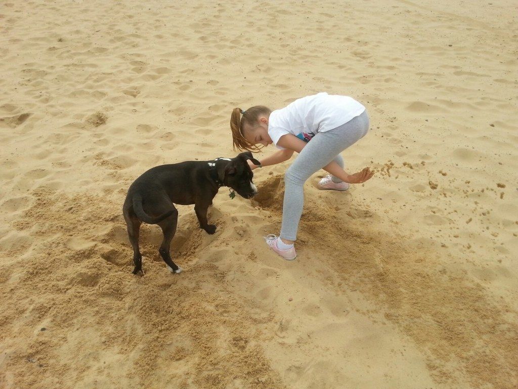 beb6e482dd51a86b3cadb83ce269abf39aa33933