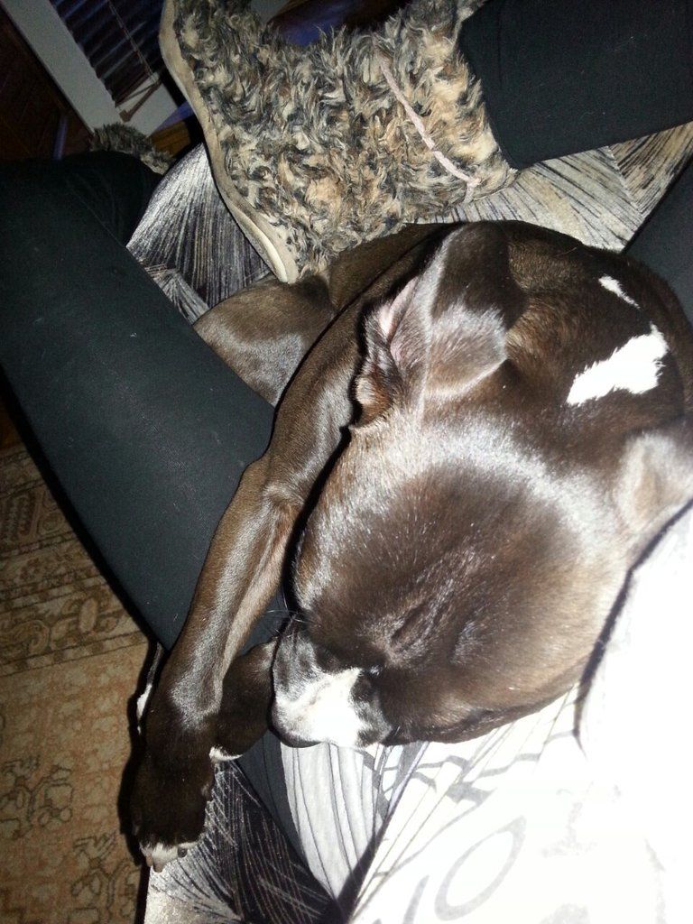 c6e52939870ad344731513178c7d62974464138b