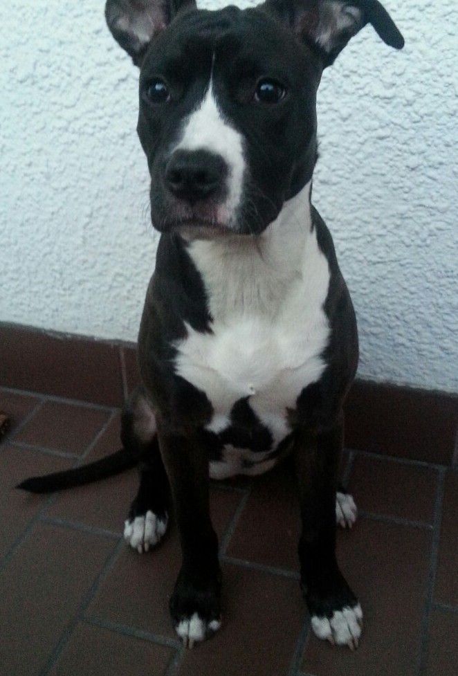 c7b592151c4af2e17d2a016020f95197264f6397