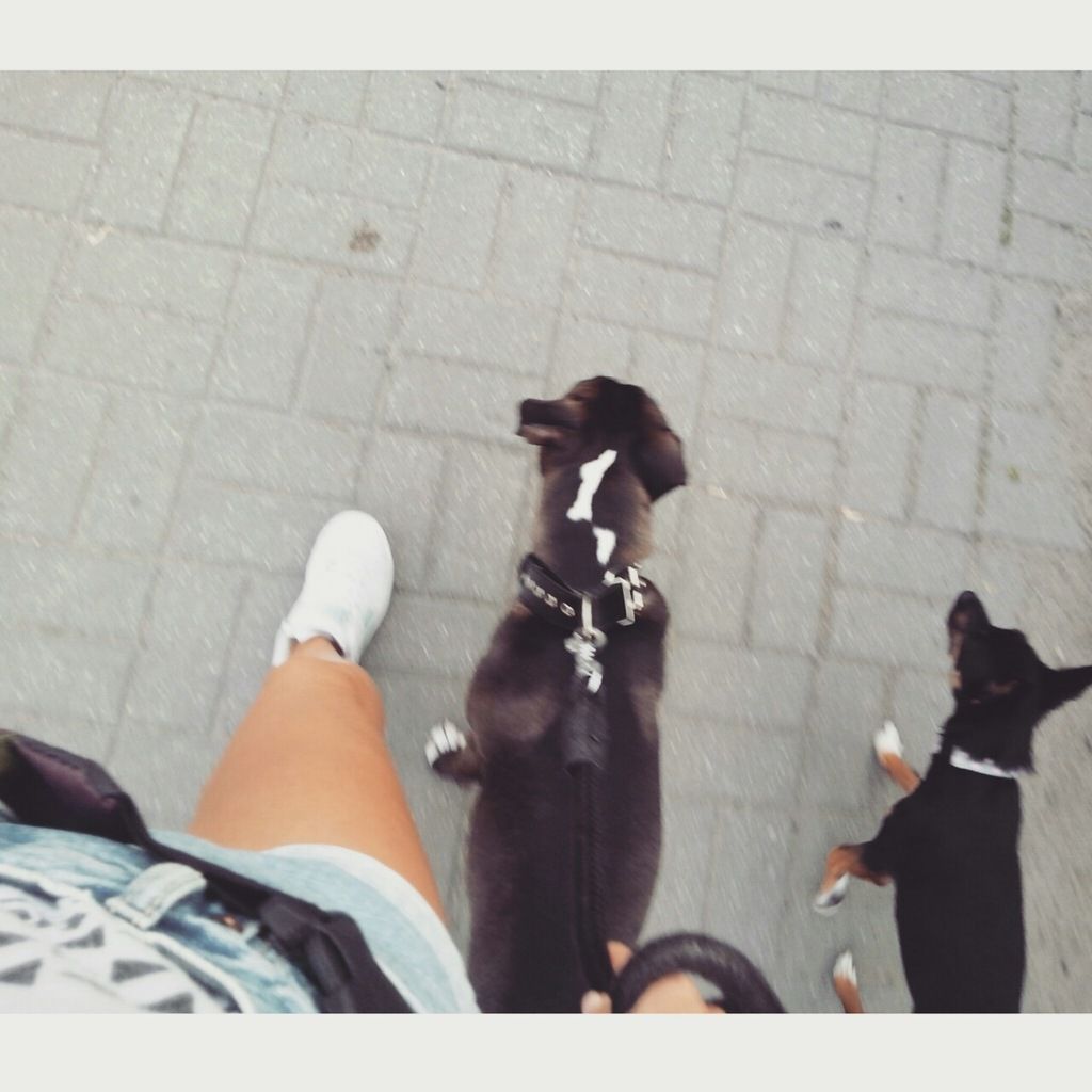 c9f078845957078303bebebce5a3c98ae3aa7dd0