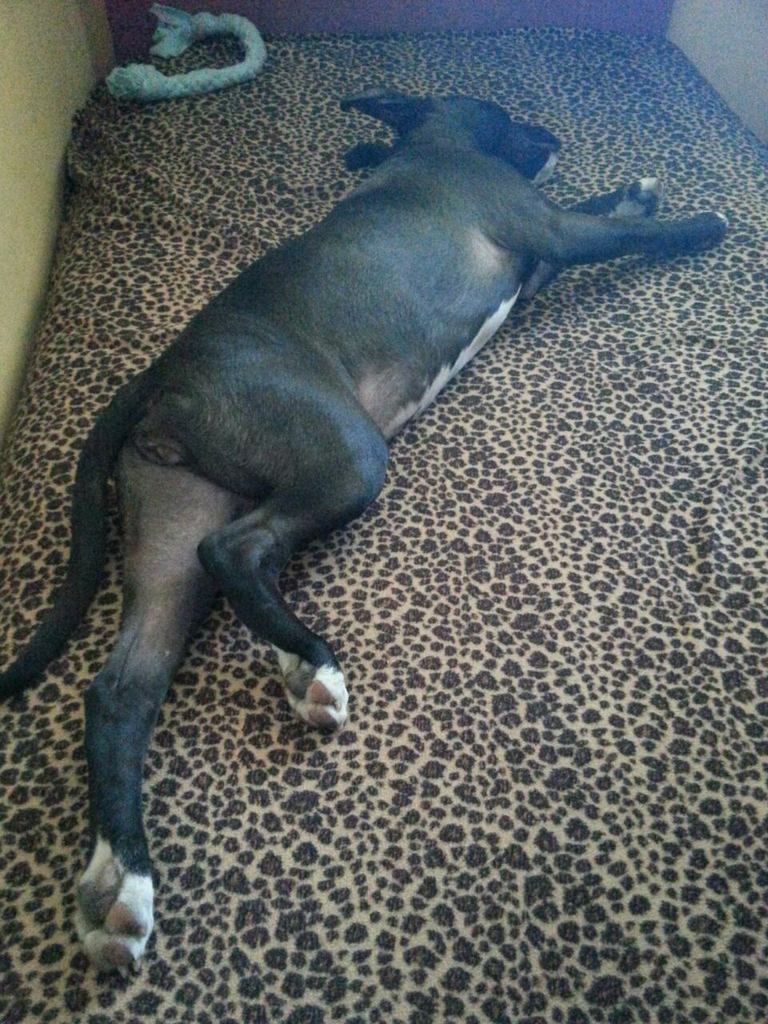 cbe2b3782808e488870c927318ab00ecdcfff11c