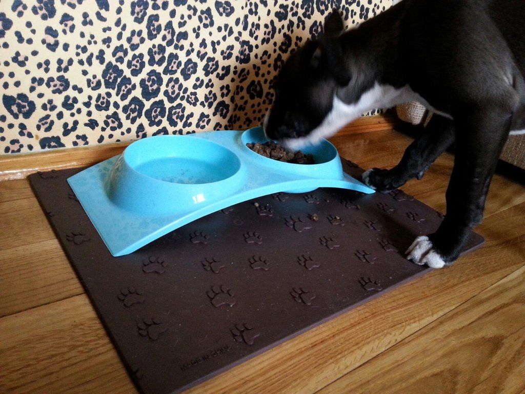 ceefb3d06304cad1b308a94dcd532e84fdaeb6ad