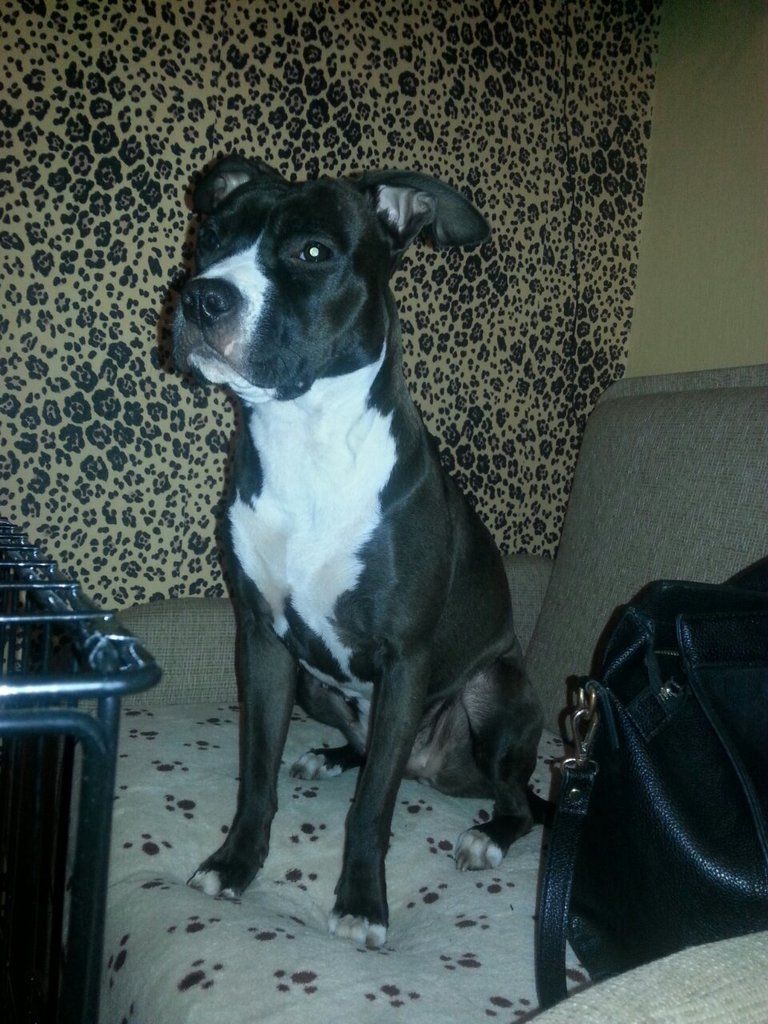 d1565451dc036cbadc349b4ff1615167149a5ecc