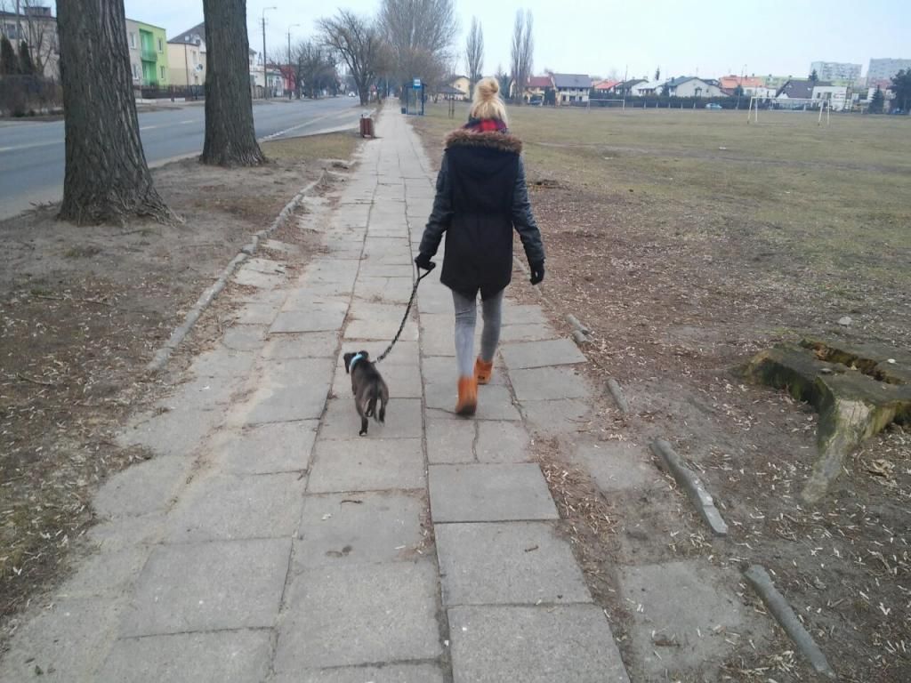 d1f8a578b8bff790541edcb555d92cd8e80f32fb