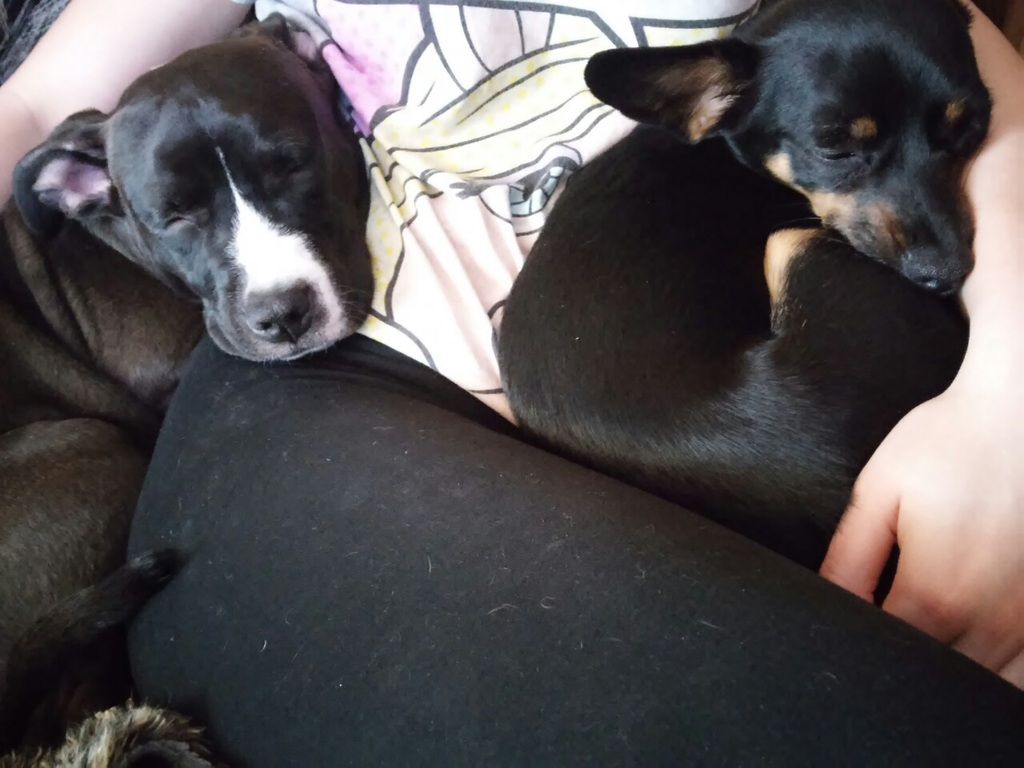 d6c87a19463229b15ef6e0baeb65726dd1d6b0a4