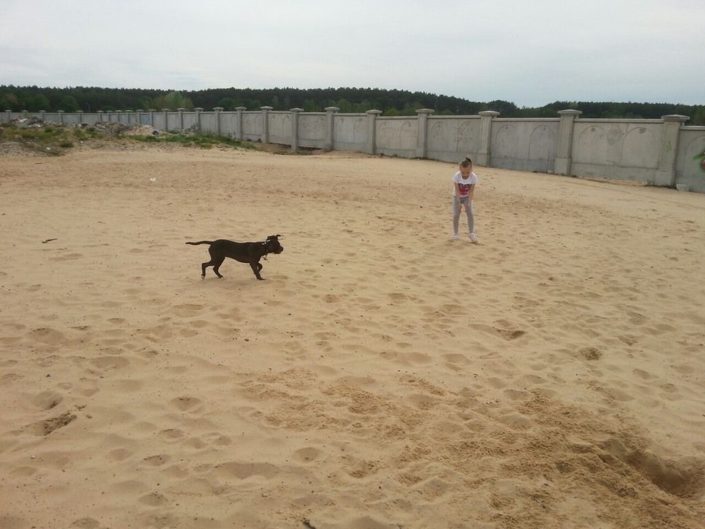 d930502b07435a8304b345c7d1f5cb3378cbb312