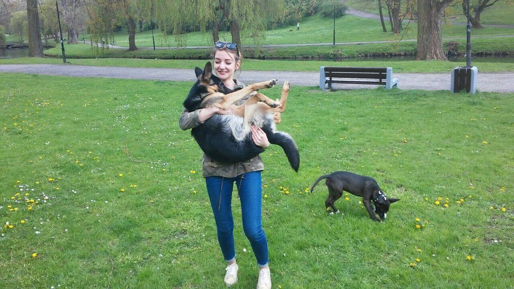 db17a2c33553d166316d5b9a2b19c6ecef5a33cd