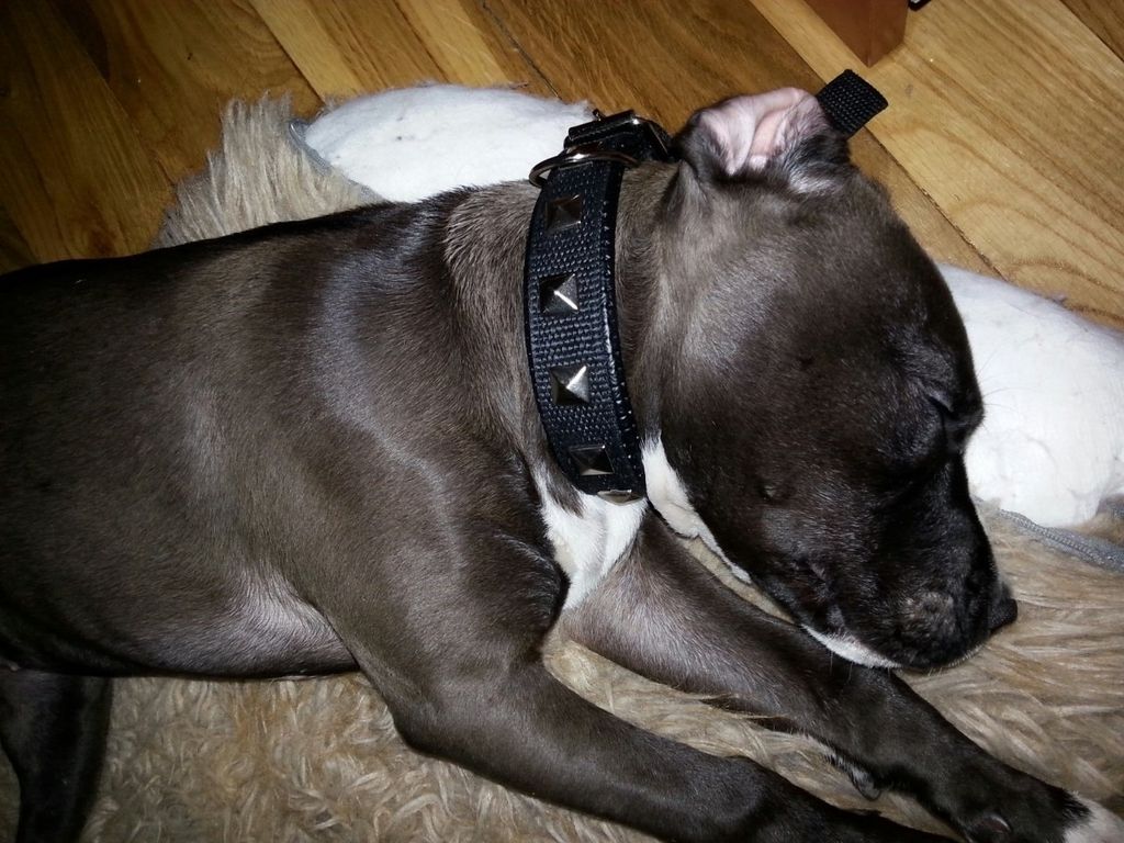 dcb204dd-4a59-49f4-b755-2d14df9fb39b_zps