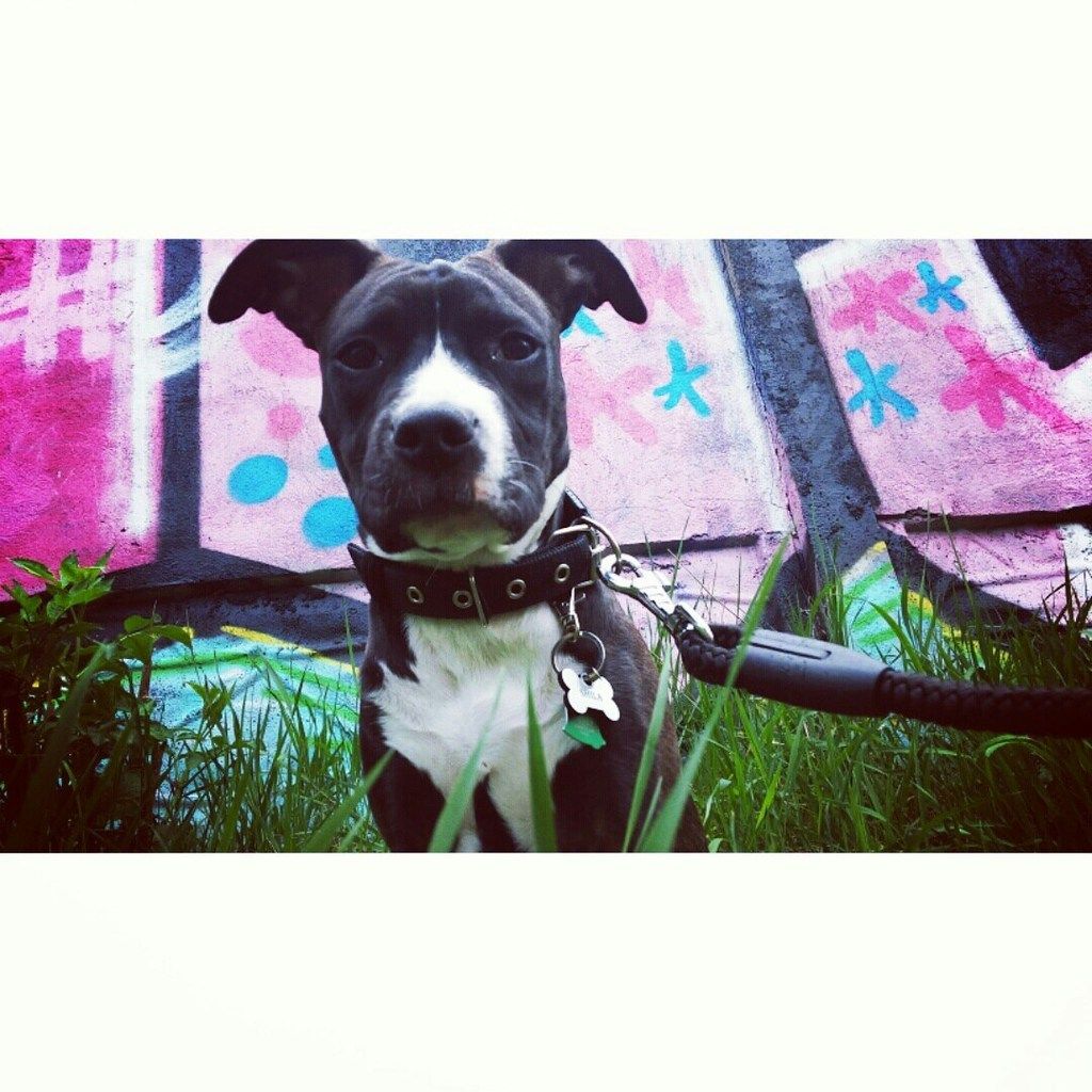 dd45290dd15b7b0833f59b51fdc651a7a8aea002