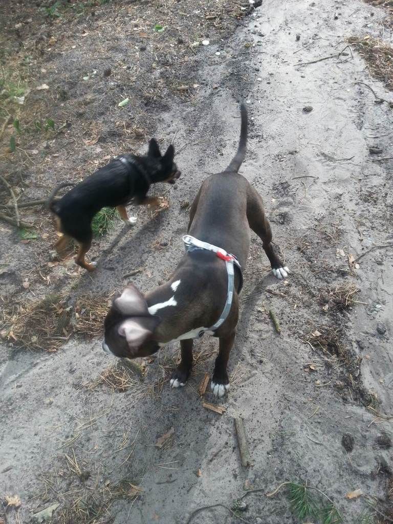 df8cf501a39f39e0401d17c4b3ce13209bec6580