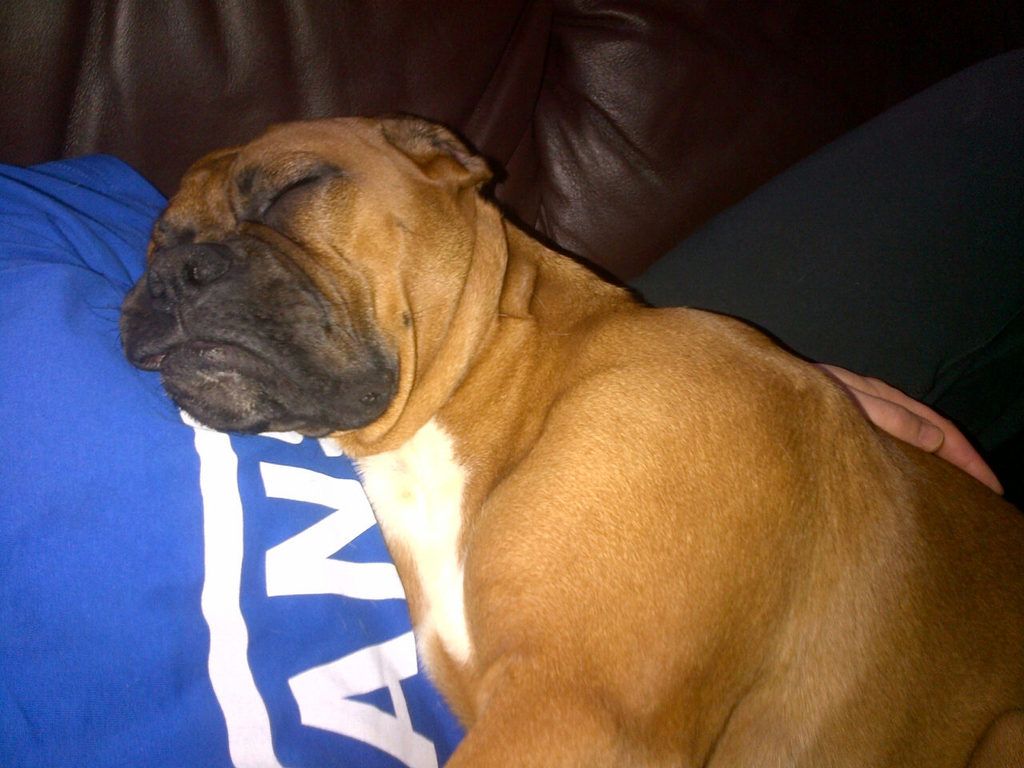 e0c05a057573d66bcc4aa6b3920074d678b31a41