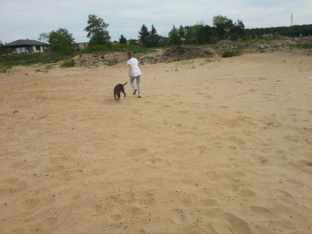 e234db0caff477b72764af6122bf7f005f2c0326