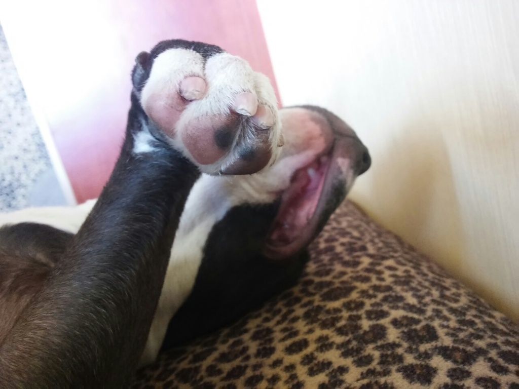 e372fc7d0a485baae77a6eeec9c9d72745d5f4bd