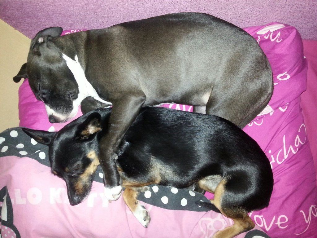 e8abc4fe2abad881a00bbdc9e344139e4f2910b7