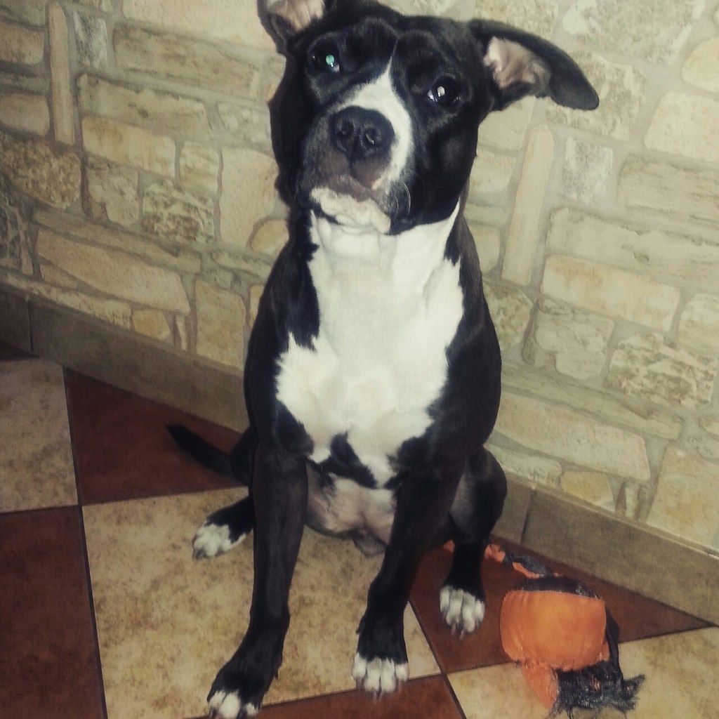 ebf36a322d71a2384e8b456f28ed095e2448514e