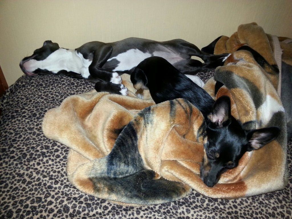 f08c1d6df5c21f21dc08b0b9a1bf11822295d4d9