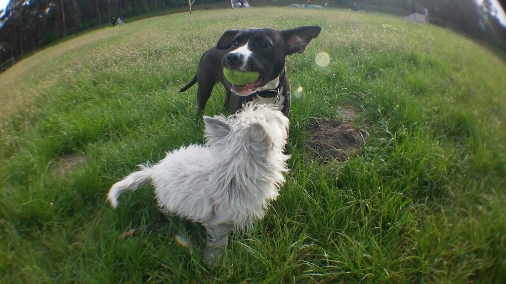 f377337bc77becace22992543d2af58a746a0df1