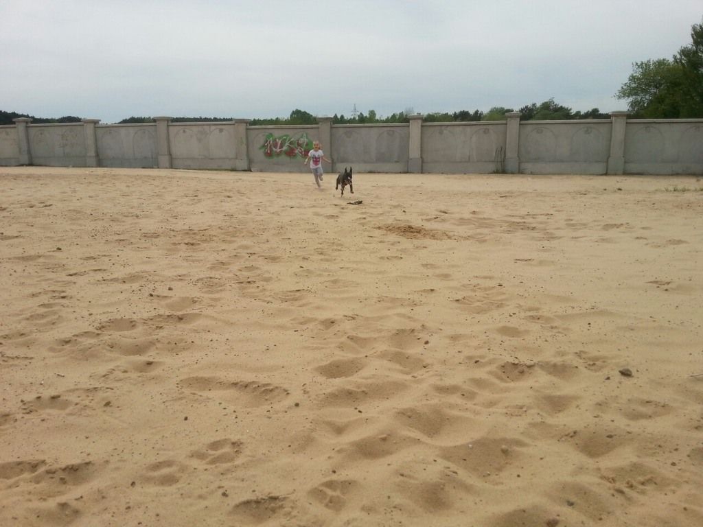 f3a308d2d138d53b5b6960fa1d9ec3f9e17c5f69