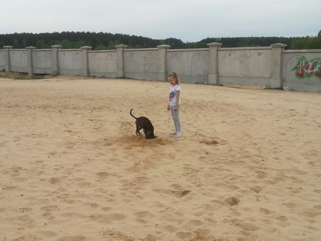 f583e5f776b92db42e1df3dd2c752c9034769734