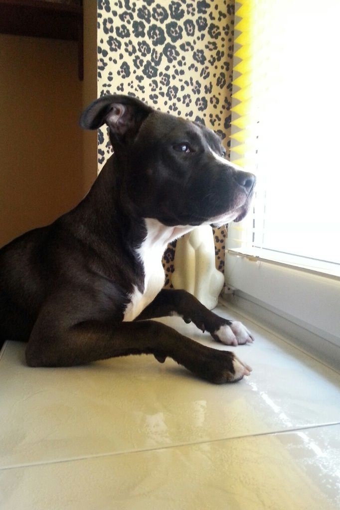 f7eae51d2b8038dbf96267772e1c159e6c5b3633