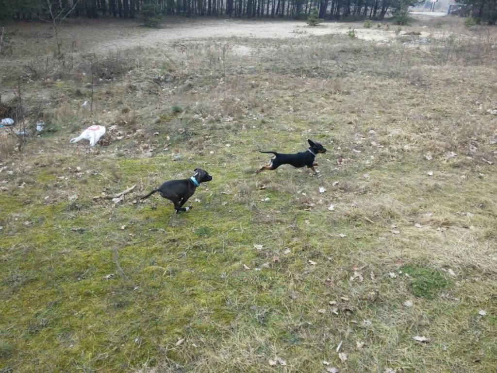 fac5b51a7b2d3b0309d0b519cc6fe1b7237d7050