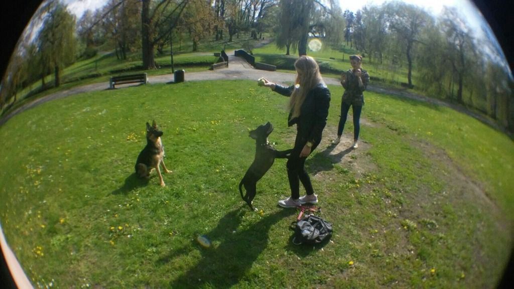 fbd7b798973d567577d204352cdbfe28c07fa94a