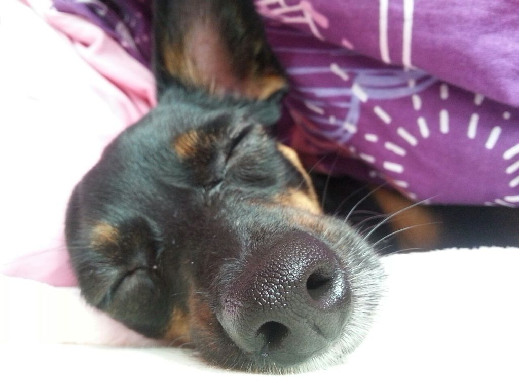 ffbb04405c3e5822f42eba6328e8508c416f8bfe