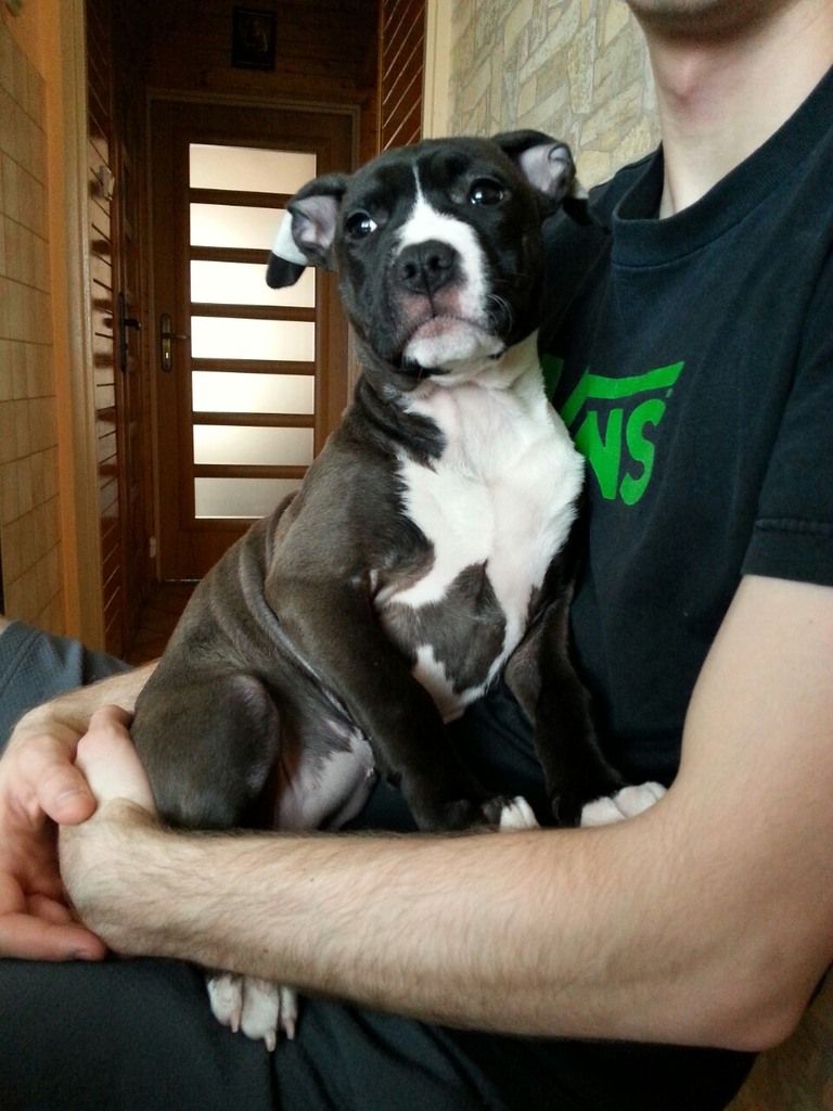 fff271303b83ff3b92b63bbc0173155aa7932a76