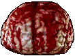 animated brain