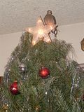 PicsbeforeX-Mas012.jpg image by blithe87