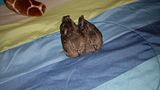 SDC11213.jpg image by blithe87