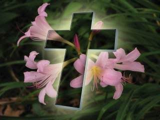 easter-lily-woman-cross.jpg picture by brebis2274